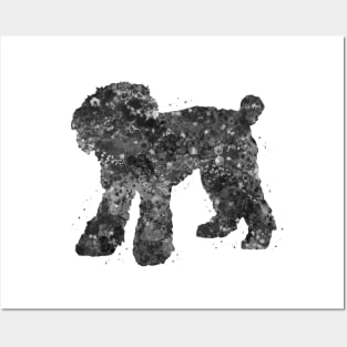 toy poodle dog black and white Posters and Art